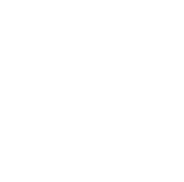 TripAdvisor Travelers' Choice 2020 award winner