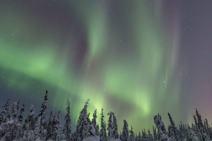 a group of people in the sky