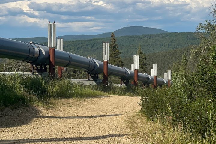 Elevated pipeline running through a forested landscape with dirt road and clouds overhead.