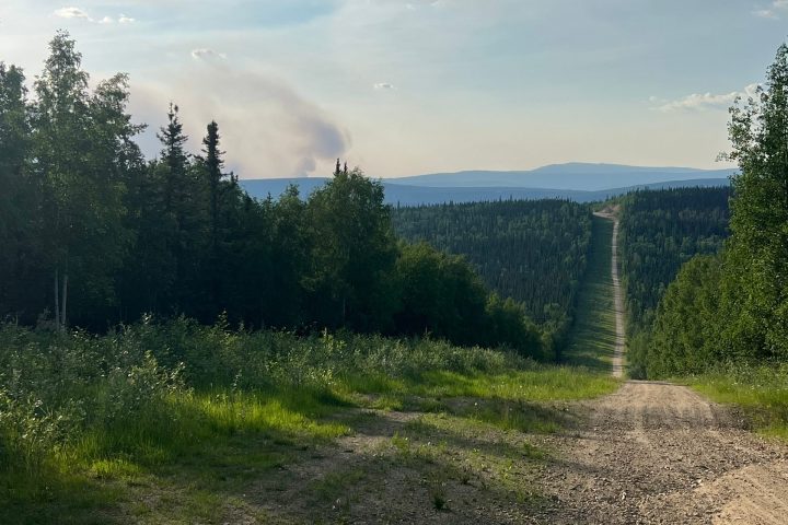 Dirt road through a forest with smoke rising in the distance and a clear blue sky.