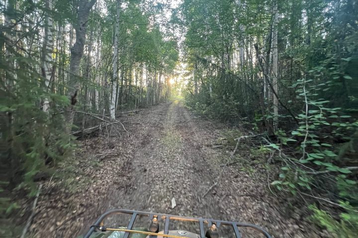View from ATV on a forest trail with trees and sunlight ahead.