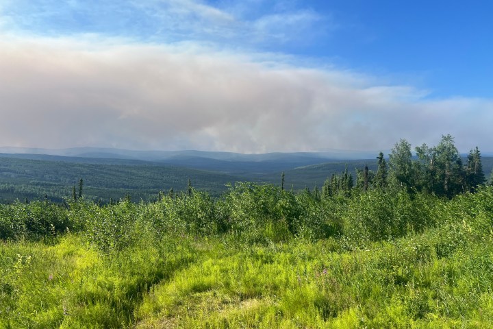 Green forested landscape with smoke in the distance under a blue sky.