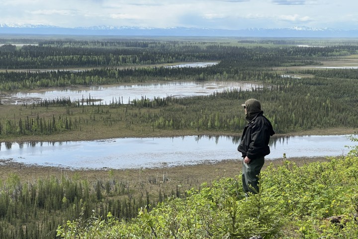Person in jacket stands on hill overlooking vast forest and river landscape.