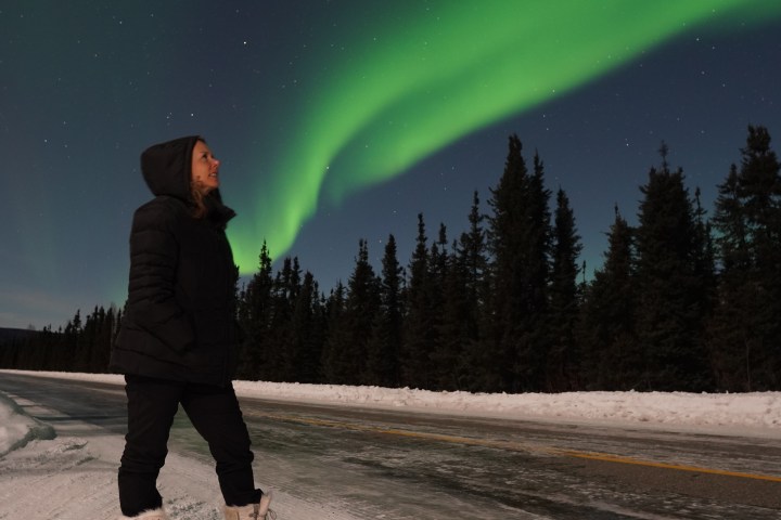 Person standing on snowy road, watching green aurora borealis in the night sky over pine trees.