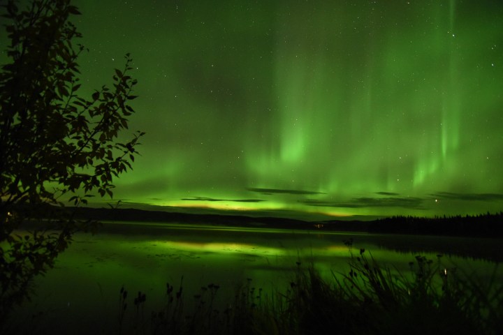 Green aurora borealis over calm lake with silhouetted trees in foreground.