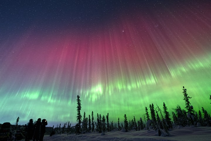 Green and pink aurora borealis above snowy forest with silhouettes of people.
