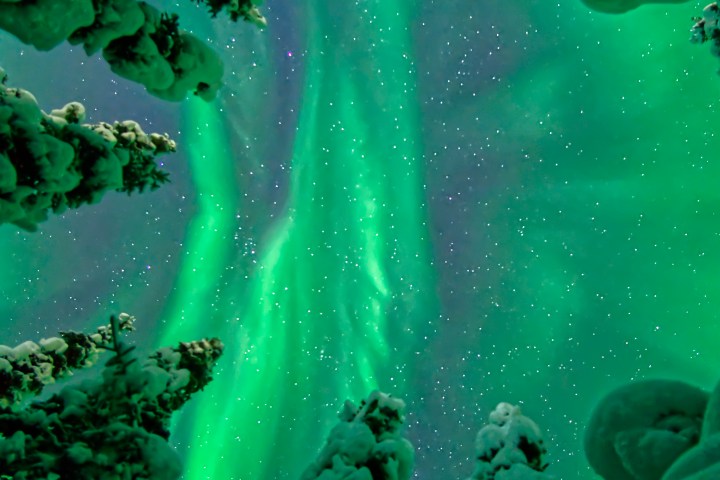 Trees with snow under vibrant green northern lights and starry sky.