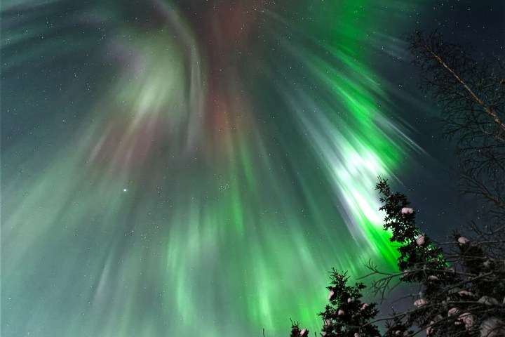 Aurora borealis with green and red lights over snow-covered trees.