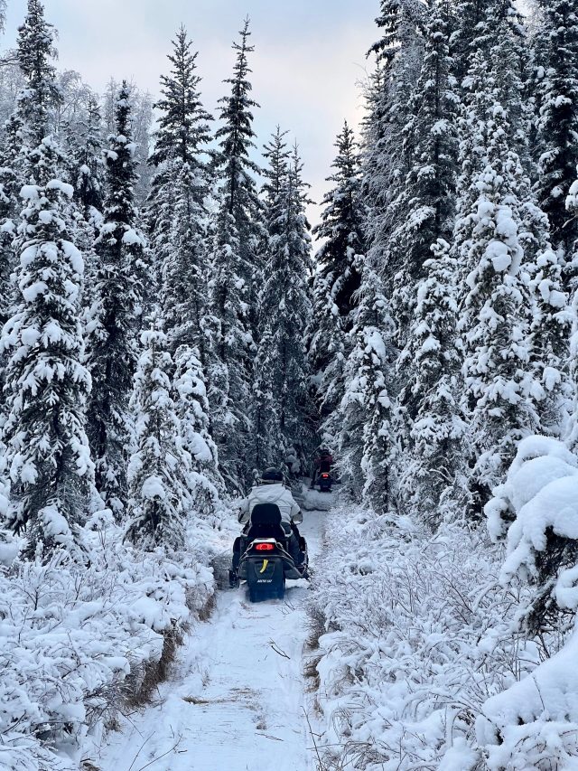 Lynx Loop beginner snowmobile sled tour Fairbanks